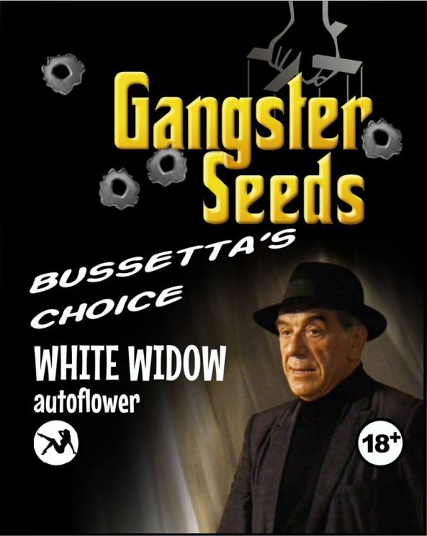 white widow autoflower