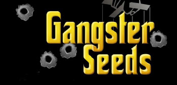 Gangster Seeds