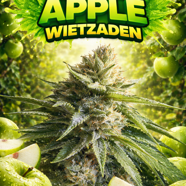 Sour Apple wietzaden