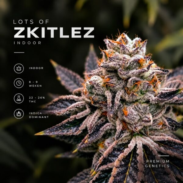 Lots of Zkitlez wietzaden