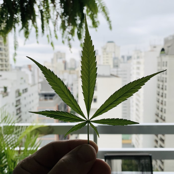Feminized
